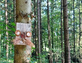 Bucklige Welt