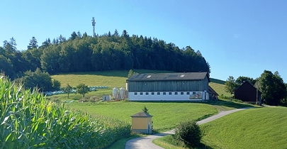 Bucklige Welt