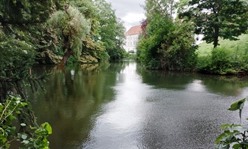 Bucklige Welt