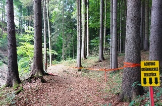 Bucklige Welt