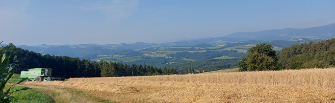 Bucklige Welt