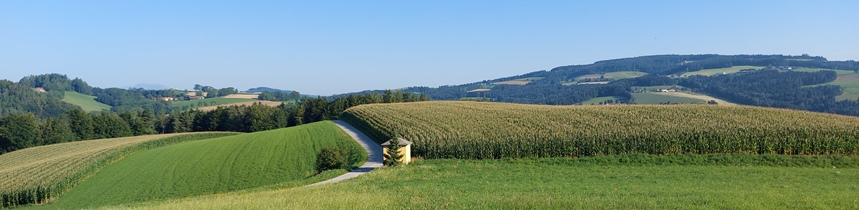 Bucklige Welt