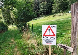 Bucklige Welt