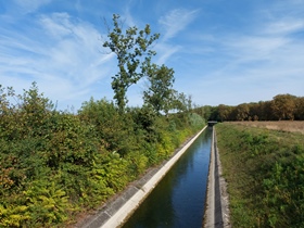 Wr.Neustadt