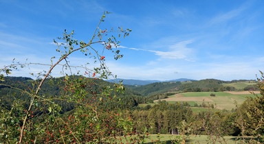 Bucklige Welt
