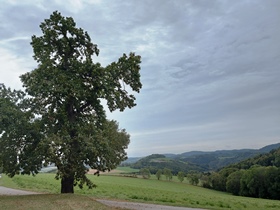 Bucklige Welt