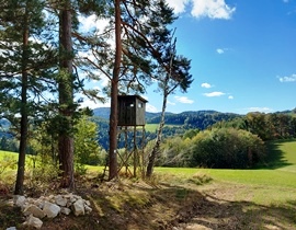 Bucklige Welt