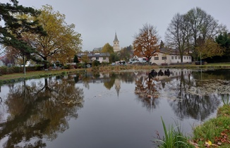 Bucklige Welt