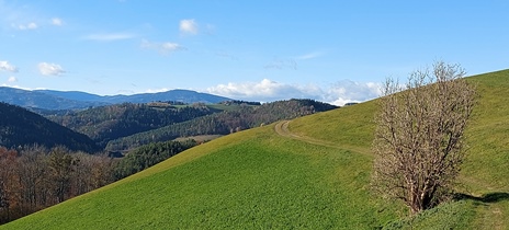 Bucklige Welt