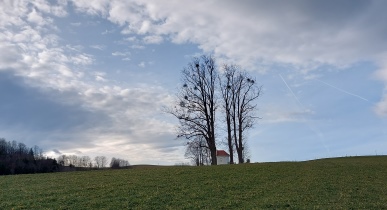 Bucklige Welt