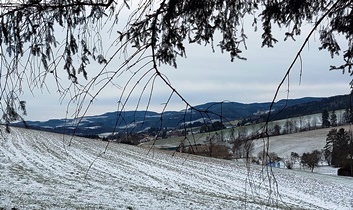 Bucklige Welt