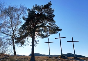 Bucklige Welt