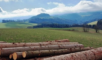 Bucklige Welt