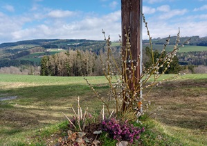 Bucklige Welt