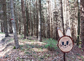 Bucklige Welt