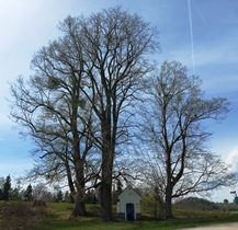 Bucklige Welt