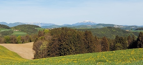 Bucklige Welt