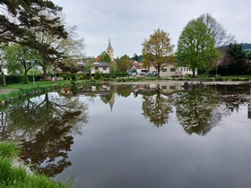 Bucklige Welt