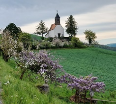 Bucklige Welt
