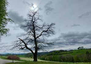 Bucklige Welt