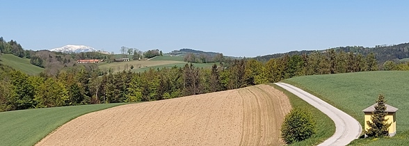 Bucklige Welt