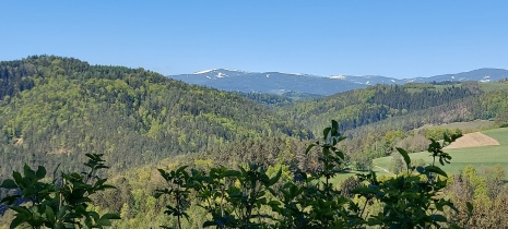 Bucklige Welt