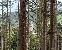 Bucklige Welt