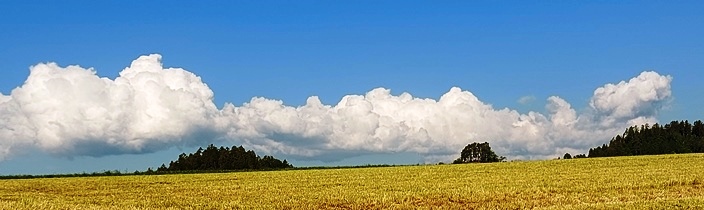 Bucklige Welt