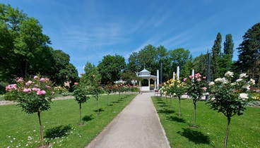 WN, Stadtpark