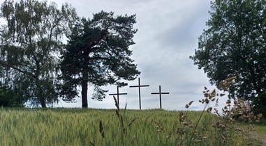 Bucklige Welt