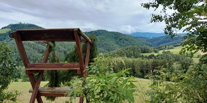 Bucklige Welt