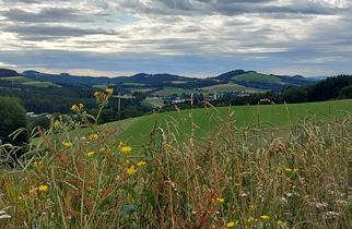 Bucklige Welt