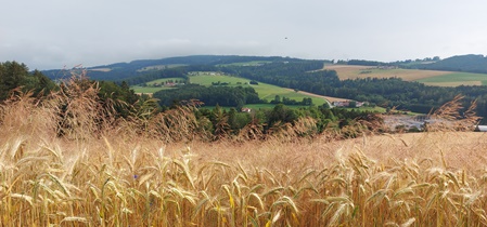 Bucklige Welt