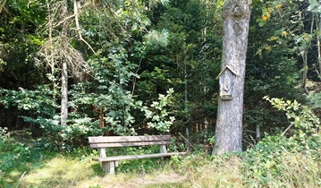 Bucklige Welt