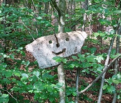 Bucklige Welt
