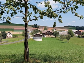 Bucklige Welt