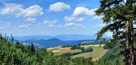 Bucklige Welt