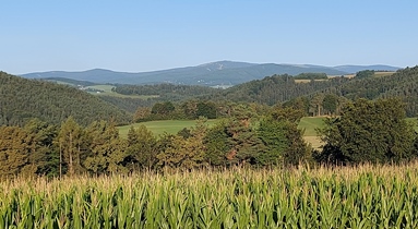 Bucklige Welt