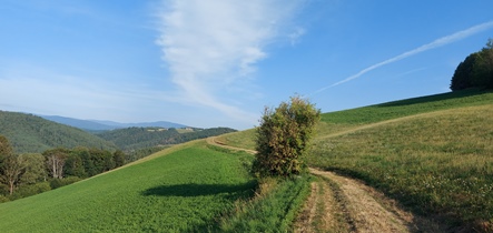 Bucklige Welt