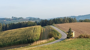 Bucklige Welt