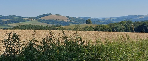 Bucklige Welt