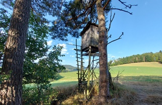 Bucklige Welt