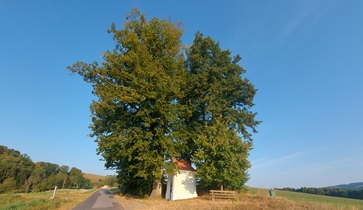 Bucklige Welt