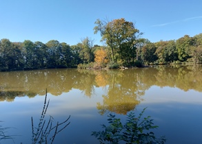 WN, Akademiepark