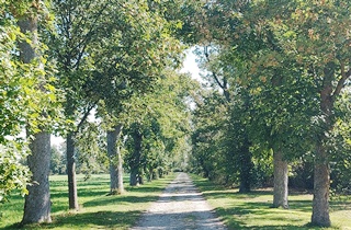 WN, Akademiepark