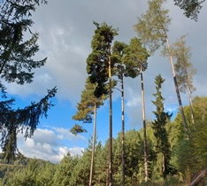 Bucklige Welt