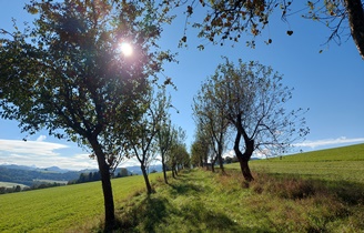 Bucklige Welt