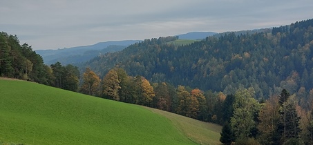 Bucklige Welt