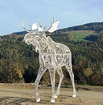 Bucklige Welt