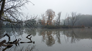 WN, Akademiepark